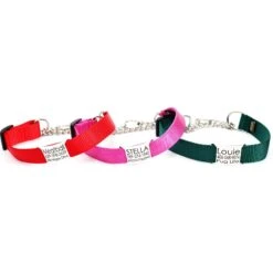 Mimi Green Personalized Chain Martingale Dog Collar -PetSafe Kong Shop 813958 PT2. AC SS1800 V1683291515