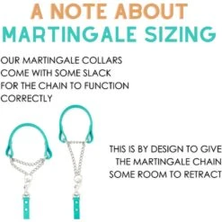 Mimi Green Personalized Chain Martingale Dog Collar -PetSafe Kong Shop 813958 PT3. AC SS1800 V1683298687