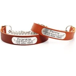 Mimi Green Leather Martingale Dog Collar With ID Riveted Nameplate -PetSafe Kong Shop 814150 PT2. AC SS1800 V1683291453