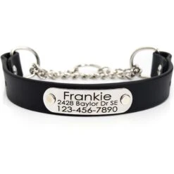 Mimi Green Waterproof Leather Martingale Dog Collar With Personalized ID Tag