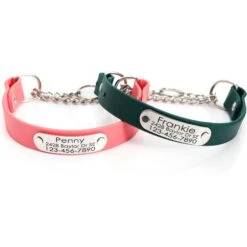 Mimi Green Waterproof Leather Martingale Dog Collar With Personalized ID Tag -PetSafe Kong Shop 814478 PT4. AC SS1800 V1683291403