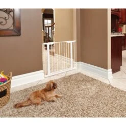 MidWest ICrate Fold & Carry Single Door Collapsible Wire Dog Crate & MidWest Steel Pet Gate -PetSafe Kong Shop 815134 PT6. AC SS1800 V1679500871