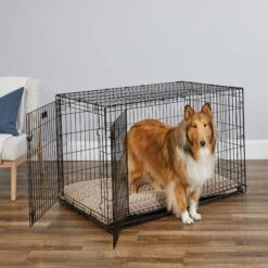 MidWest ICrate Fold & Carry Double Door Collapsible Wire Dog Crate & MidWest Steel Pet Gate -PetSafe Kong Shop 815238 PT2. AC SS1800 V1679500811