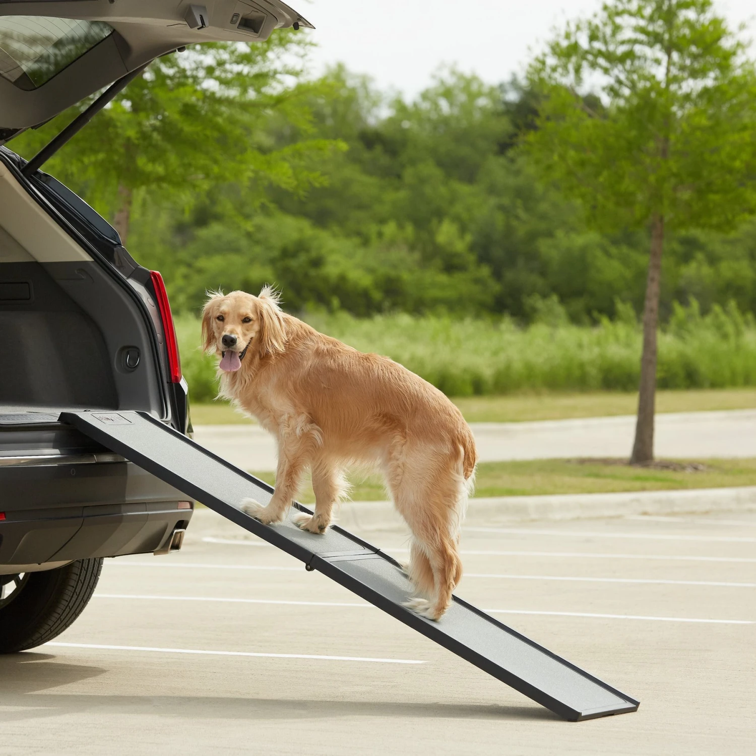 Gen7Pets Feather Lite Foldable Dog Car Ramp 1 Gen7Pets Feather Lite Foldable Dog Car Ramp