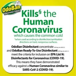 OdoBan Ready-to-Use Lemon Disinfectant Spray, 32-oz Bottle -PetSafe Kong Shop 819070 PT2. AC SS1800 V1681318143