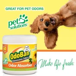 OdoBan Solid Odor Absorber Citrus Deodorizer, 14-oz Jar 7 OdoBan Solid Odor Absorber Citrus Deodorizer, 14-oz Jar -PetSafe Kong Shop 819150 PT3. AC SS1800 V1681318029