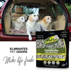 OdoBan OdoRocks Odor Eliminator Deodorizer, 2-lb Bag -PetSafe Kong Shop 819230 PT4. AC SS1800 V1681318135