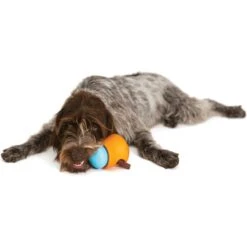 West Paw Zogoflex Toppl Tough Treat Dispensing Dog Chew Toy 14 West Paw Zogoflex Toppl Tough Treat Dispensing Dog Chew Toy -PetSafe Kong Shop 82016 PT5. AC SS1800 V1521563923