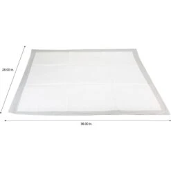 Pounce + Fetch Extra Large Ultra Absorbing Dog Training Pads, 50 Count -PetSafe Kong Shop 821526 PT5. AC SS1800 V1681317455