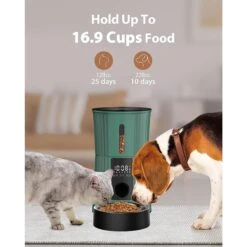 PATPET PF01 Timed 10s Voice Recorder Smart Automatic Cat & Dog Feeder, 4-lit, Green -PetSafe Kong Shop 821718 PT4. AC SS1800 V1690987953