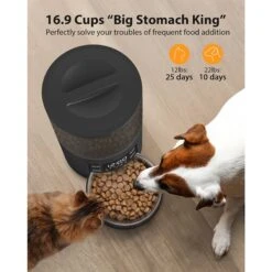 PATPET PF02 Timed Automatic Food Feeder Smart Dispenser For Cats & Dogs, Black -PetSafe Kong Shop 821798 PT2. AC SS1800 V1681145066