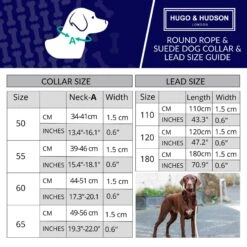 HUGO & HUDSON Suede Leather Dog Leash -PetSafe Kong Shop 821966 PT2. AC SS1800 V1680890261