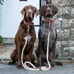 HUGO & HUDSON Suede Leather Dog Leash -PetSafe Kong Shop 821966 PT6. AC SS1800 V1680890208