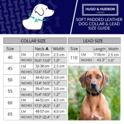 HUGO & HUDSON Padded Leather Dog Leash, Black, 43.3-in 7 HUGO & HUDSON Padded Leather Dog Leash, Black, 43.3-in -PetSafe Kong Shop 822022 PT2. AC SS1800 V1680890202