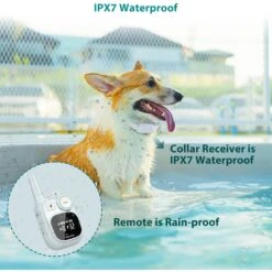 PATPET P628 2000-ft Waterproof Anti Bark Control With Remote Vibration & Beep Electric Dog Training Shock Collar, Small -PetSafe Kong Shop 823654 PT3. AC SS1800 V1693491389