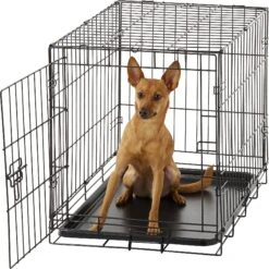 Carlson Pet Products Secure & Compact Single Door Collapsible Wire Dog Crate -PetSafe Kong Shop 82471 PT3. AC SS1800 V1569015900