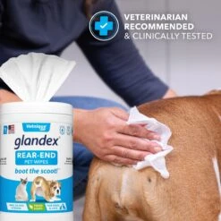 Vetnique Labs Glandex Wipes Rear End Anal Gland Cleansing & Deodorizing Hygienic Rear End Boot The Scoot Dog & Cat Wipes & Frisco Disposable Male Dog Wraps 13 Vetnique Labs Glandex Wipes Rear End Anal Gland Cleansing & Deodorizing Hygienic Rear End Boot The Scoot Dog & Cat Wipes & Frisco Disposable Male Dog Wraps -PetSafe Kong Shop 826454 PT4. AC SS1800 V1682018155