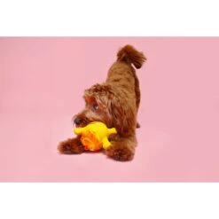 Hartz Zoo Balloons Squeaky Latex Dog Toy, Character Varies -PetSafe Kong Shop 82678 PT5. AC SS1800 V1660706815