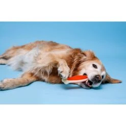 Hartz Chew 'n Clean Tuff Bone Tough Dog Chew Toy -PetSafe Kong Shop 82681 PT3. AC SS1800 V1667337356
