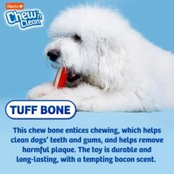 Hartz Chew 'n Clean Tuff Bone Tough Dog Chew Toy -PetSafe Kong Shop 82681 PT4. AC SS1800 V1667337355