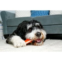 Hartz Chew 'n Clean Tuff Bone Tough Dog Chew Toy -PetSafe Kong Shop 82681 PT5. AC SS1800 V1667337355