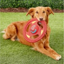 Hartz Tuff Stuff Flyer Squeaky Dog Toy, Color Varies -PetSafe Kong Shop 82714 PT2. AC SS1800 V1589228771