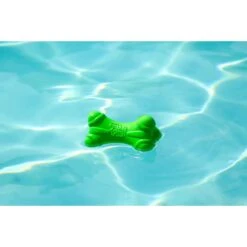 Hartz Dura Play Bone Squeaky Latex Dog Toy -PetSafe Kong Shop 82721 PT6. AC SS1800 V1660706813