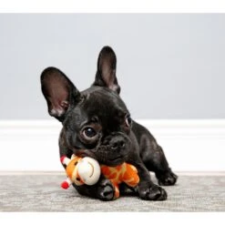 Hartz Tiny Dog Jungle Squeaky Plush Dog Toy, Character Varies 8 Hartz Tiny Dog Jungle Squeaky Plush Dog Toy, Character Varies -PetSafe Kong Shop 82738 PT3. AC SS1800 V1620835346