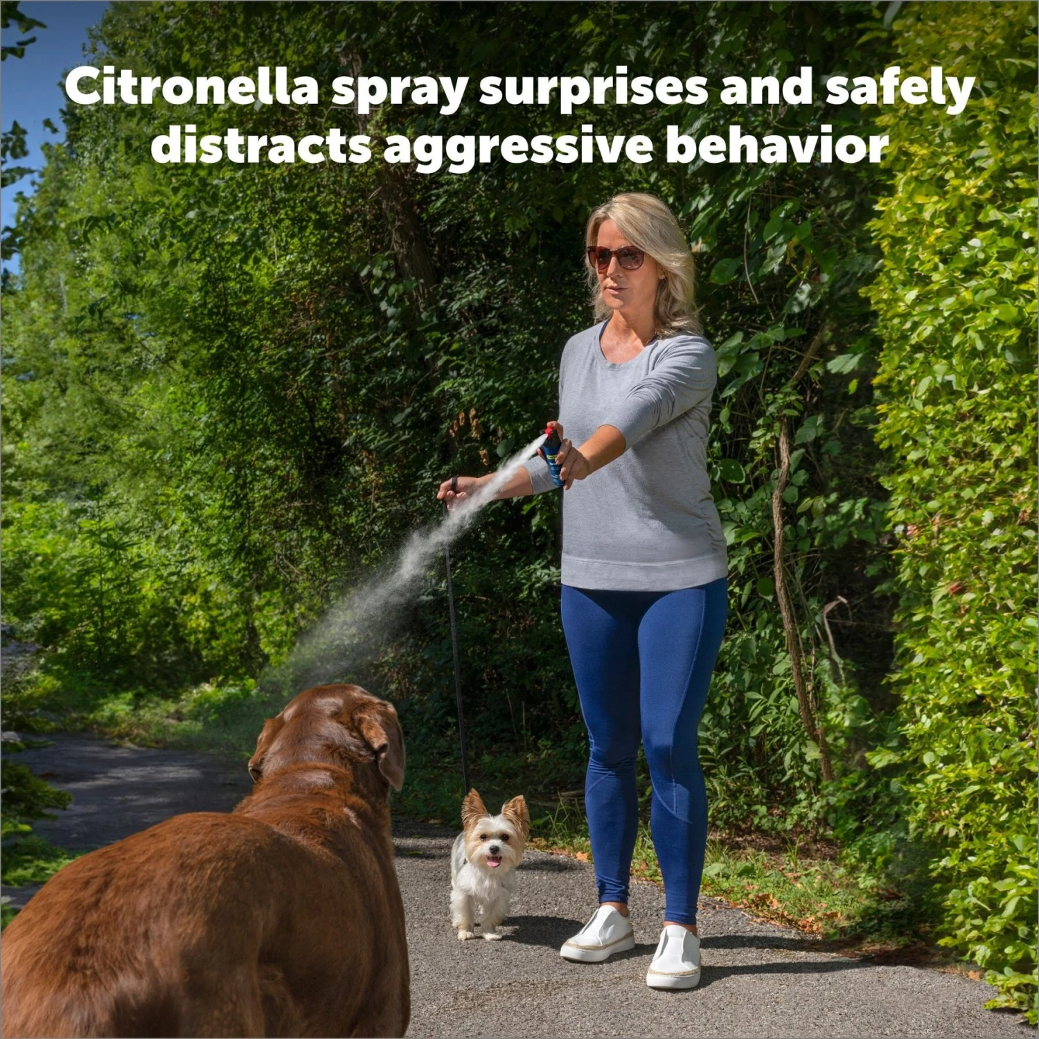 PetSafe Spray Shield Animal Deterrent Spray 4 PetSafe Spray Shield Animal Deterrent Spray - Image 4