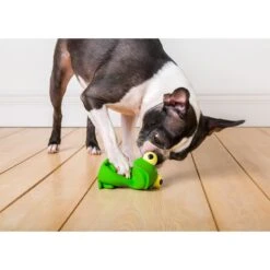 Hartz Bug Eyes Squeak Latex Dog Toy, Character Varies -PetSafe Kong Shop 82848 PT2. AC SS1800 V1589228905