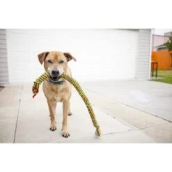 Mammoth SnakeBiter Snake Rope Dog Toy, Color Varies -PetSafe Kong Shop 83152 PT2. AC SS1800 V1633020404