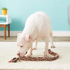 Mammoth SnakeBiter Snake Rope Dog Toy, Color Varies -PetSafe Kong Shop 83152 PT3. AC SS1800 V1633022487
