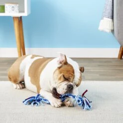 Mammoth Cloth Rope Tug For Dogs, Color Varies -PetSafe Kong Shop 83166 PT3. AC SS1800 V1633020467