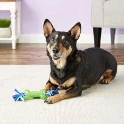 Mammoth Bone With Cloth Rope For Dogs, Color Varies -PetSafe Kong Shop 83179 PT2. AC SS1800 V1633022808