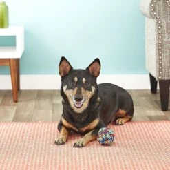 Mammoth Monkey Fist Ball For Dogs -PetSafe Kong Shop 83229 PT2. AC SS1800 V1530547669