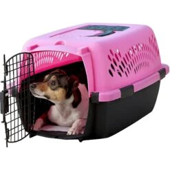 Aspen Pet Dog & Cat Kennel, Color Varies 7 Aspen Pet Dog & Cat Kennel, Color Varies -PetSafe Kong Shop 83293 PT3. AC SS1800 V1569015902