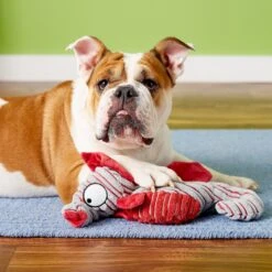 KONG CuteSeas Seahorse Dog Toy 6 KONG CuteSeas Seahorse Dog Toy -PetSafe Kong Shop 83365 PT2. AC SS1800 V1605328611