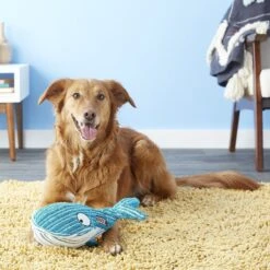 KONG CuteSeas Whale Dog Toy -PetSafe Kong Shop 83369 PT2. AC SS1800 V1605316617
