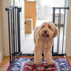 MyPet Windsor Arch Pet Gate For Dogs & Cats -PetSafe Kong Shop 83472 PT2. AC SS1800 V1624603073