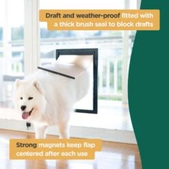 Hakuna Pets Deluxe Aluminum Dog & Cat Door -PetSafe Kong Shop 835142 PT4. AC SS1800 V1684606392