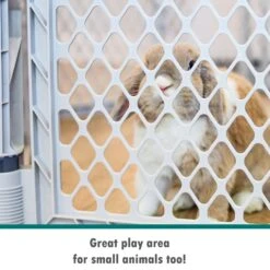 MyPet Plastic Dog Pet Yard -PetSafe Kong Shop 83650 PT6. AC SS1800 V1667334802