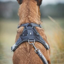 Hurtta Weekend Warrior Dog Harness, Raven -PetSafe Kong Shop 838294 PT2. AC SS1800 V1682094121