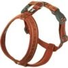 Hurtta Casual Dog Y-harness ECO