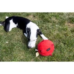 Playology Puppy Sensory Ball Chicken Dog Toy, Yellow, Large -PetSafe Kong Shop 838982 PT3. AC SS1800 V1683745403