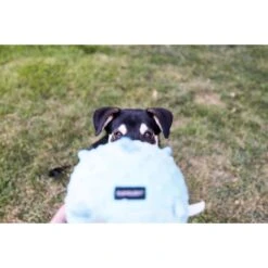 Playology Puppy Sensory Ball Chicken Dog Toy, Yellow, Large -PetSafe Kong Shop 838982 PT4. AC SS1800 V1683740473