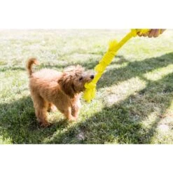 Playology Puppy Sensory Rope Chicken Dog Toy, Yellow, Small 10 Playology Puppy Sensory Rope Chicken Dog Toy, Yellow, Small -PetSafe Kong Shop 839014 PT3. AC SS1800 V1683743041