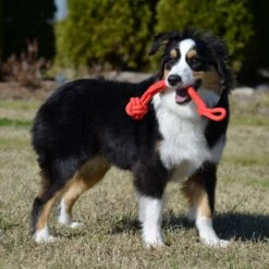 Playology Puppy Tough Tug Knot Beef Dog Toy, Red, Large -PetSafe Kong Shop 839046 PT3. AC SS1800 V1683740497