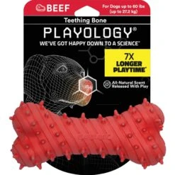 Playology Puppy Teething Bone Beef Dog Toy, Red, Large