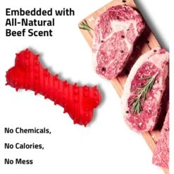 Playology Puppy Teething Bone Beef Dog Toy, Red, Large -PetSafe Kong Shop 839094 PT2. AC SS1800 V1683744681