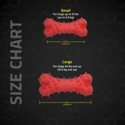 Playology Puppy Teething Bone Beef Dog Toy, Red, Large -PetSafe Kong Shop 839094 PT4. AC SS1800 V1683740499